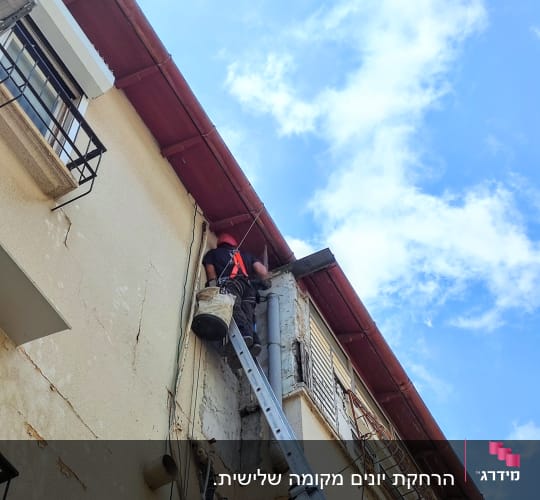 אדם על סולם ליד גג עם ציוד להסרת יונים